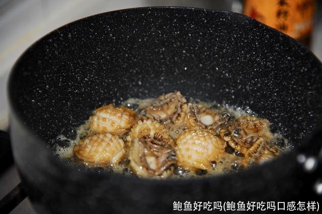 鲍鱼好吃吗(鲍鱼好吃吗口感怎样)