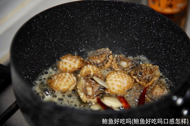 鲍鱼好吃吗(鲍鱼好吃吗口感怎样)