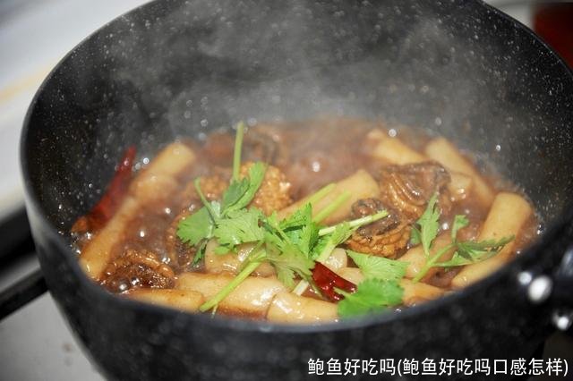 鲍鱼好吃吗(鲍鱼好吃吗口感怎样)