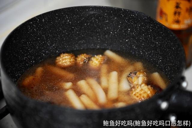 鲍鱼好吃吗(鲍鱼好吃吗口感怎样)