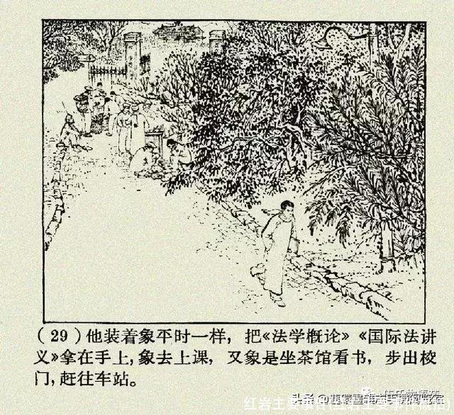 红岩主要事件(红岩主要事件概括)