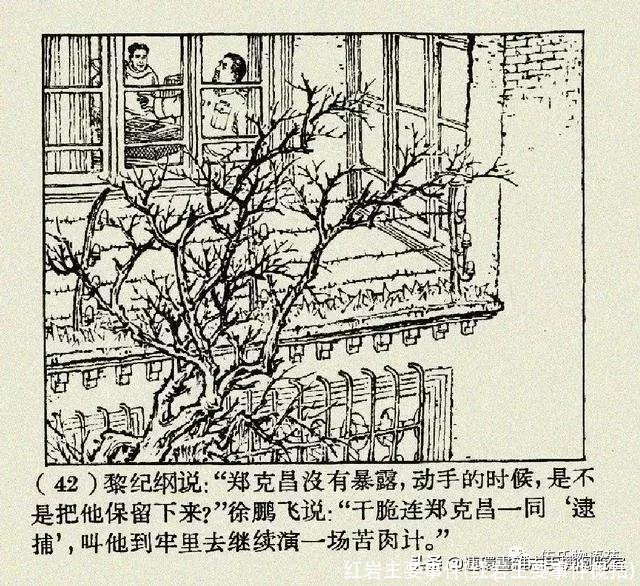 红岩主要事件(红岩主要事件概括)