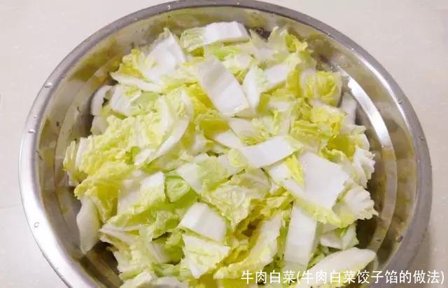 牛肉白菜(牛肉白菜饺子馅的做法)