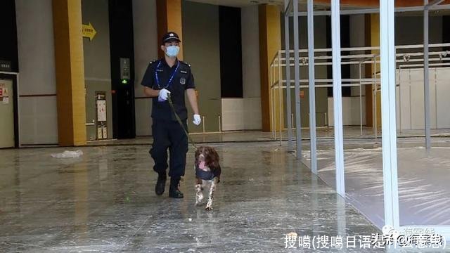 搜噶(搜噶日语是什么意思)