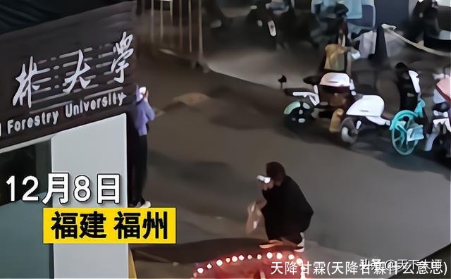 天降甘霖(天降甘霖什么意思)