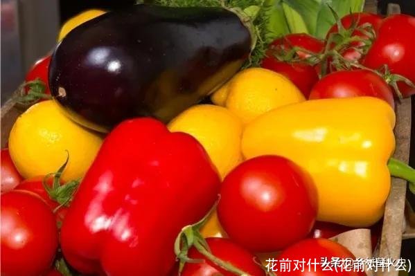 花前对什么(花前对什么)