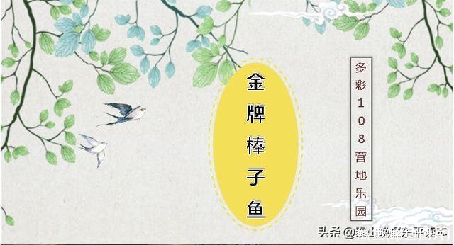 鮥鱼(鮥鱼图片)