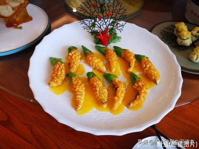 鮥鱼(鮥鱼图片)