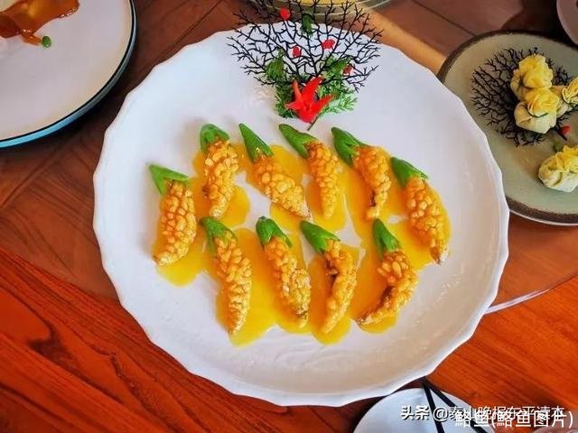 鮥鱼(鮥鱼图片)