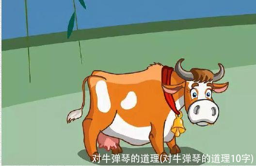 对牛弹琴的道理(对牛弹琴的道理10字)