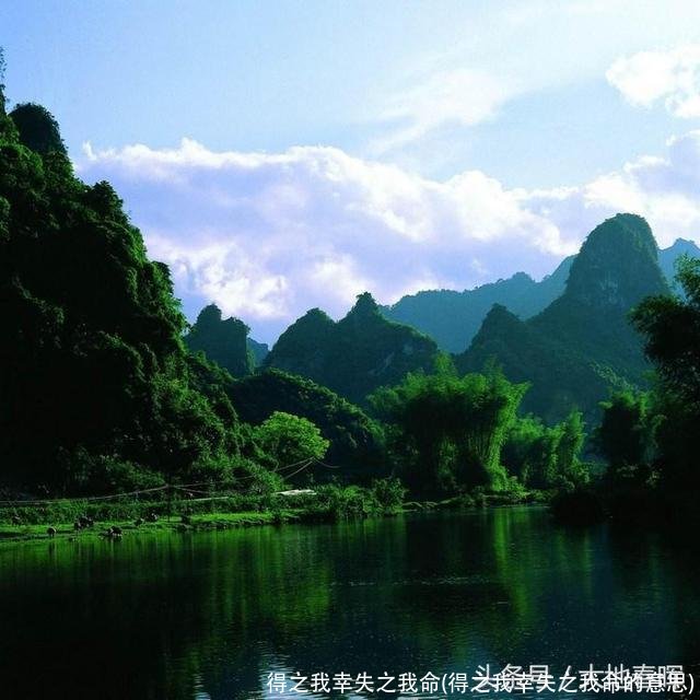 得之我幸失之我命(得之我幸失之我命的意思)