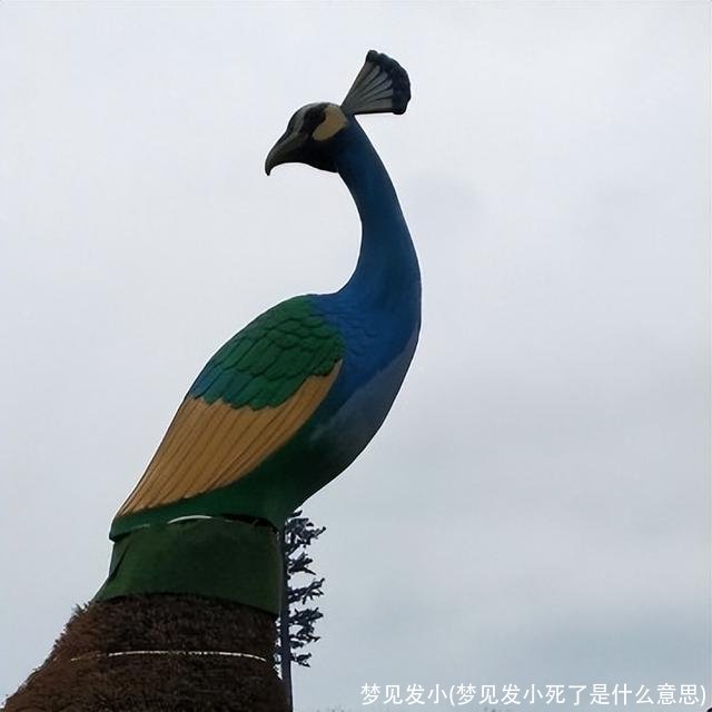 梦见发小(梦见发小死了是什么意思)