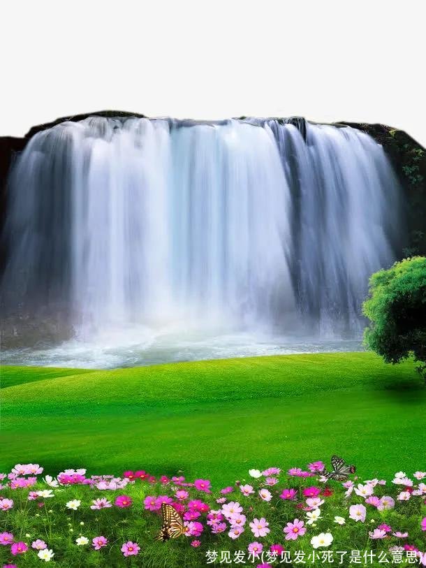 梦见发小(梦见发小死了是什么意思)