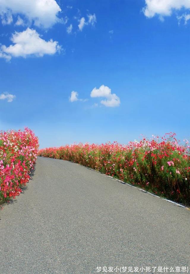 梦见发小(梦见发小死了是什么意思)
