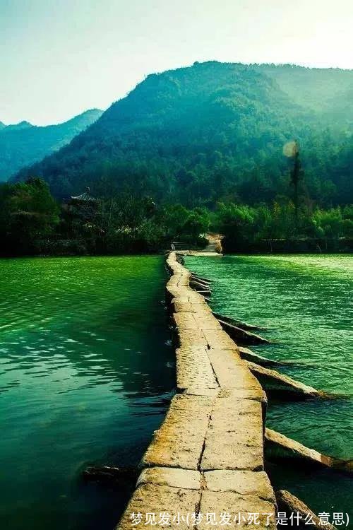 梦见发小(梦见发小死了是什么意思)