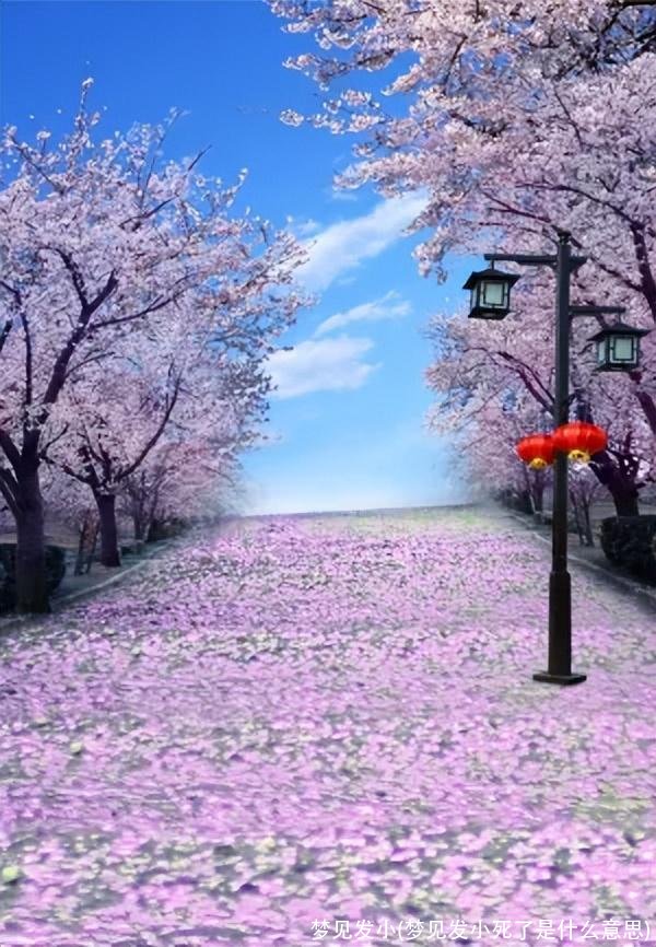 梦见发小(梦见发小死了是什么意思)