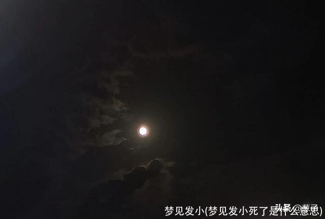 梦见发小(梦见发小死了是什么意思)