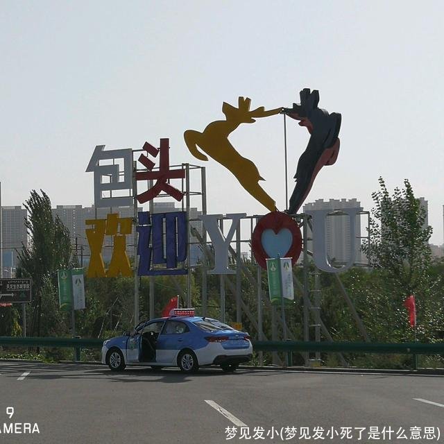 梦见发小(梦见发小死了是什么意思)