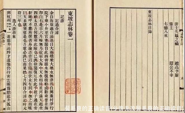 鬓毛衰的正确读音(乡音无改鬓毛衰的正确读音)