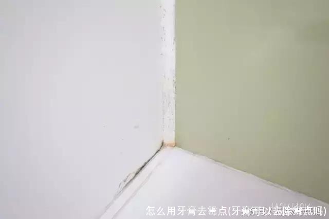 怎么用牙膏去霉点(牙膏可以去除霉点吗)
