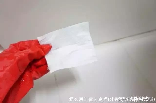 怎么用牙膏去霉点(牙膏可以去除霉点吗)