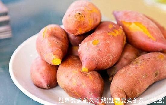 红薯要煮多久才熟(红薯要煮多久才熟透)