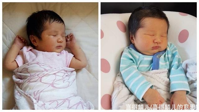 喜得麟儿(喜得麟儿的意思)