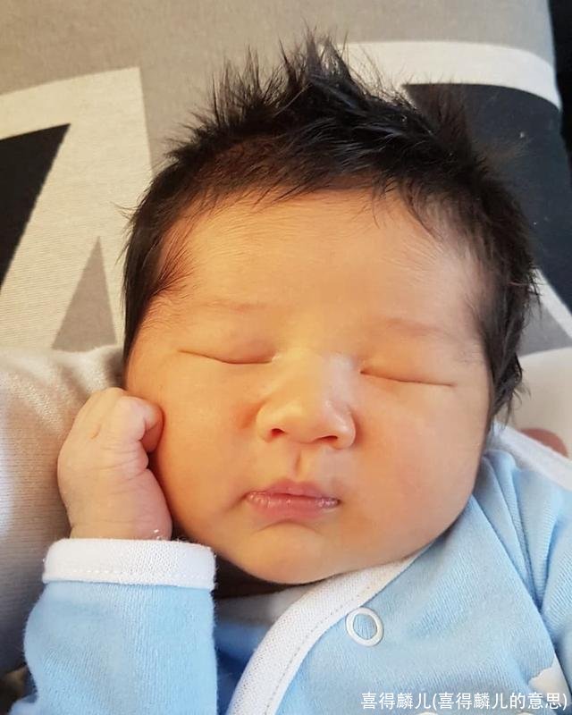 喜得麟儿(喜得麟儿的意思)