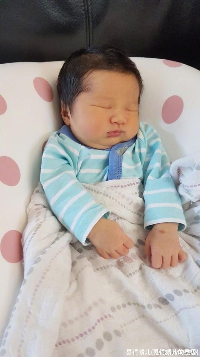 喜得麟儿(喜得麟儿的意思)