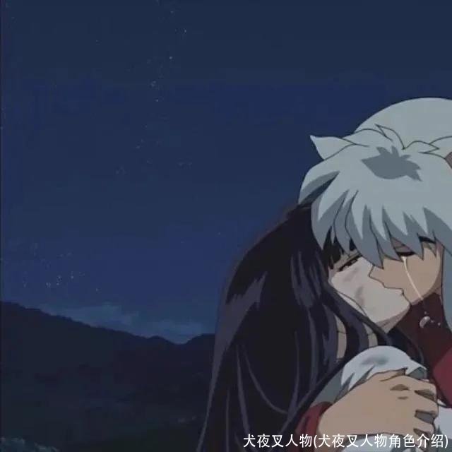 犬夜叉人物(犬夜叉人物角色介绍)