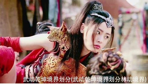 武动乾坤境界划分(武动乾坤境界划分林动境界)