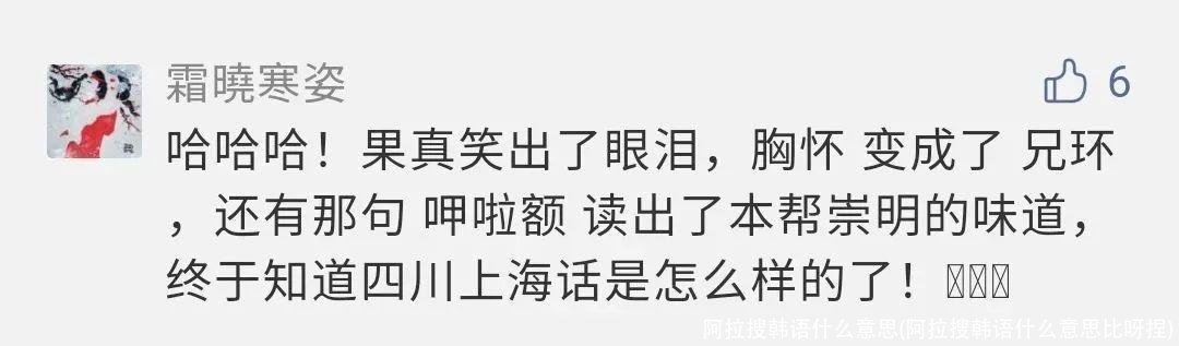 阿拉搜韩语什么意思(阿拉搜韩语什么意思比呀捏)