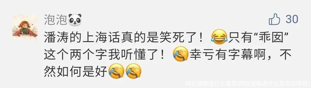 阿拉搜韩语什么意思(阿拉搜韩语什么意思比呀捏)