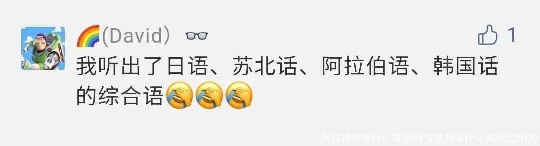 阿拉搜韩语什么意思(阿拉搜韩语什么意思比呀捏)