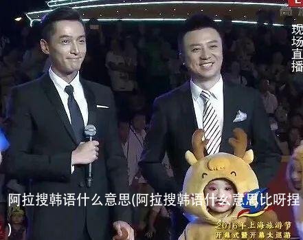 阿拉搜韩语什么意思(阿拉搜韩语什么意思比呀捏)