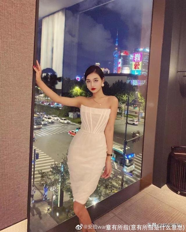 意有所指(意有所指是什么意思)