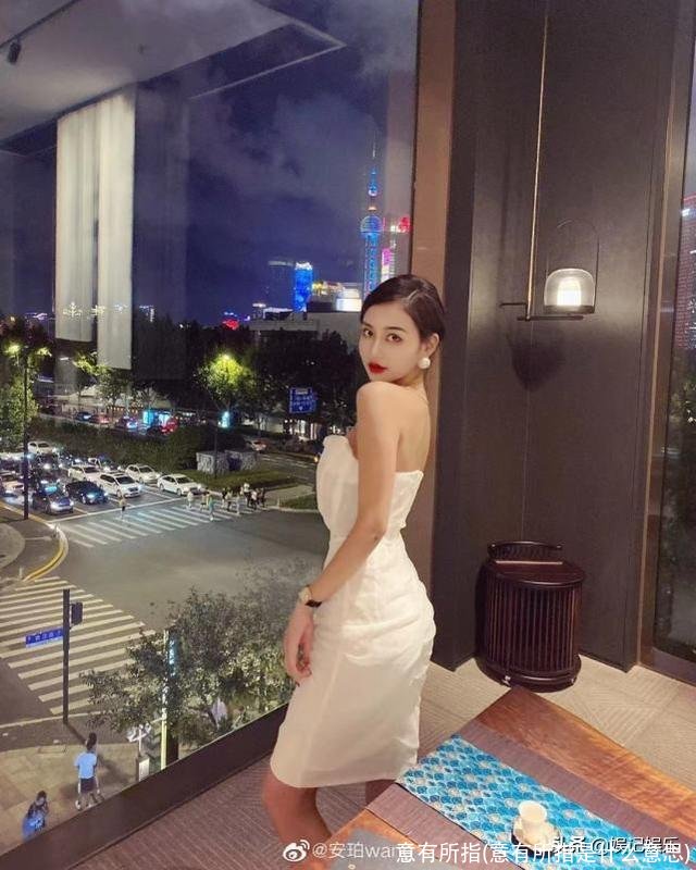 意有所指(意有所指是什么意思)