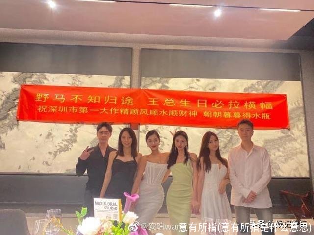 意有所指(意有所指是什么意思)