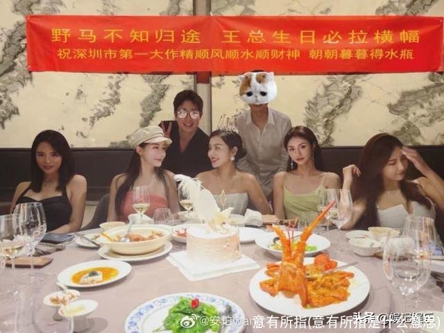 意有所指(意有所指是什么意思)