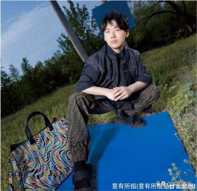 意有所指(意有所指是什么意思)