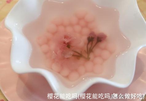 樱花能吃吗(樱花能吃吗,怎么做好吃)