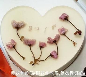 樱花能吃吗(樱花能吃吗,怎么做好吃)