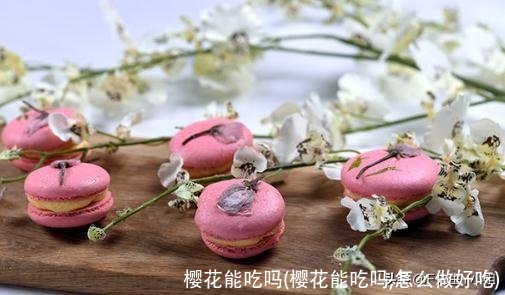 樱花能吃吗(樱花能吃吗,怎么做好吃)