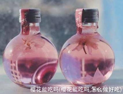 樱花能吃吗(樱花能吃吗,怎么做好吃)