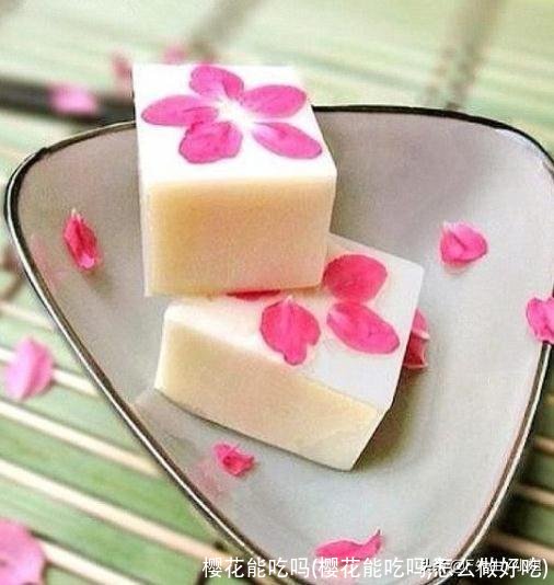 樱花能吃吗(樱花能吃吗,怎么做好吃)