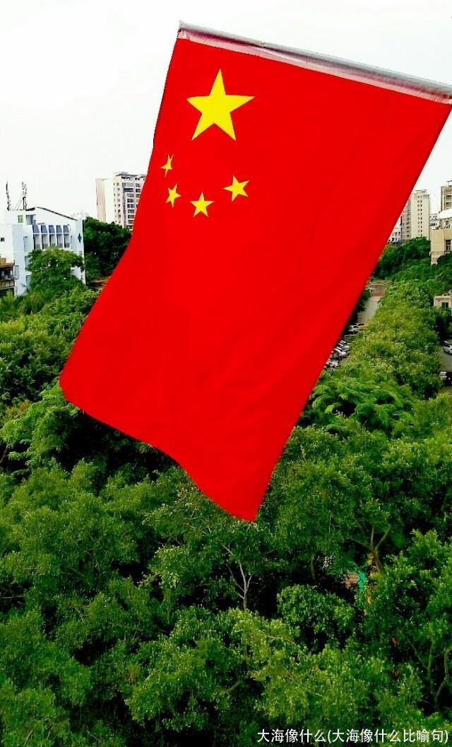 大海像什么(大海像什么比喻句)