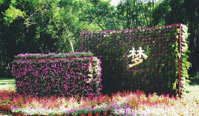 大海像什么(大海像什么比喻句)