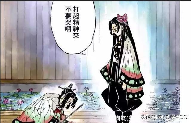 鬼蝴蝶(鬼蝴蝶长什么样子图片)