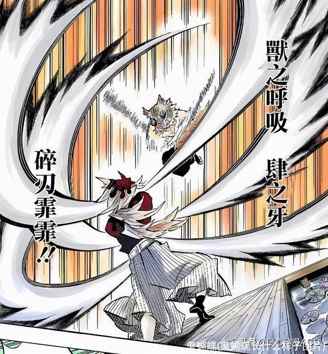 鬼蝴蝶(鬼蝴蝶长什么样子图片)