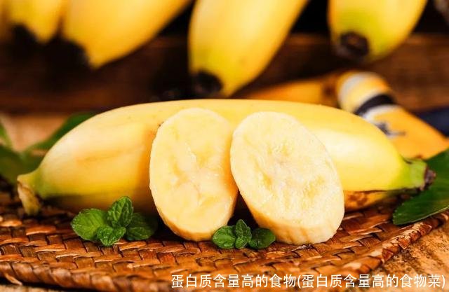 蛋白质含量高的食物(蛋白质含量高的食物菜)